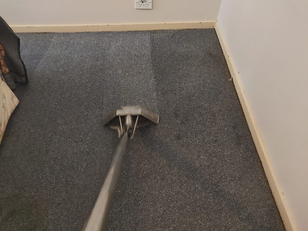 Carpet Cleaning