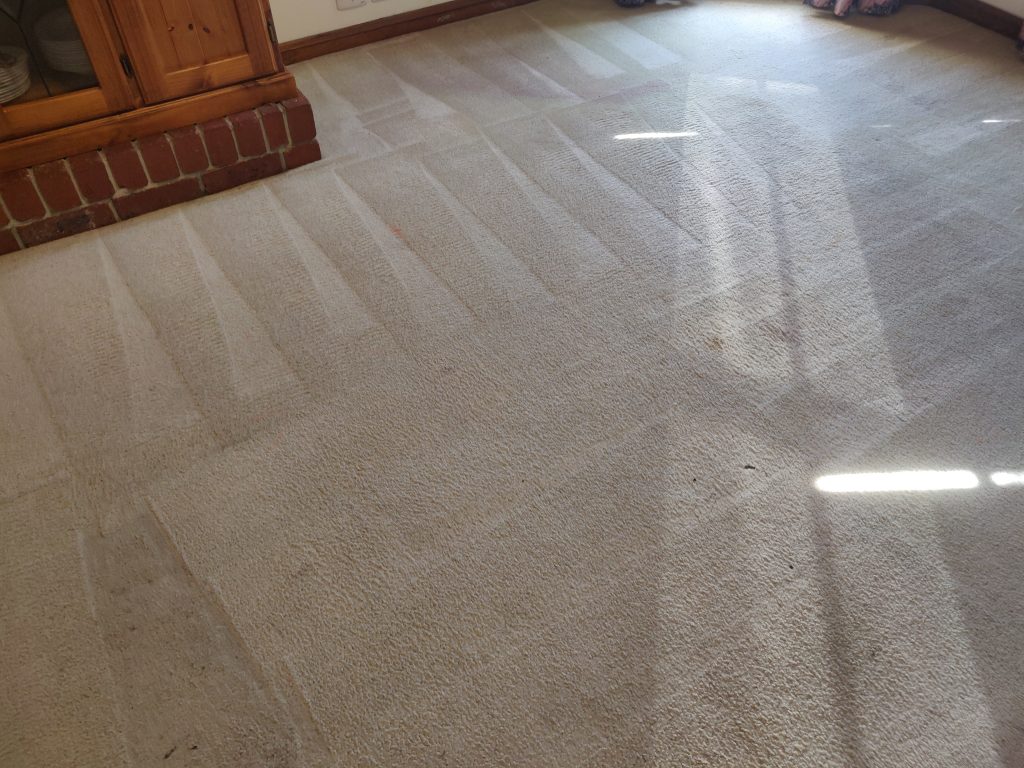 Carpet Cleaning