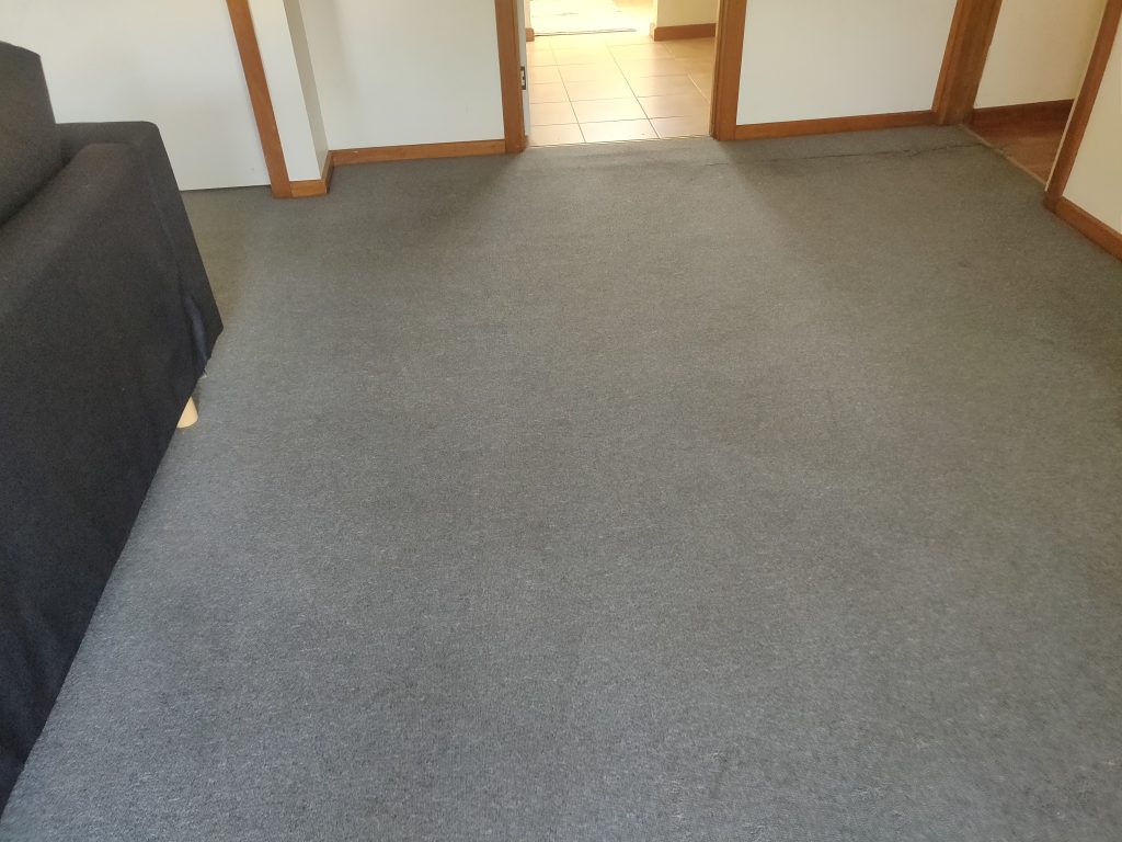 Carpet Cleaning