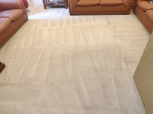 carpet-steam-cleaning-after