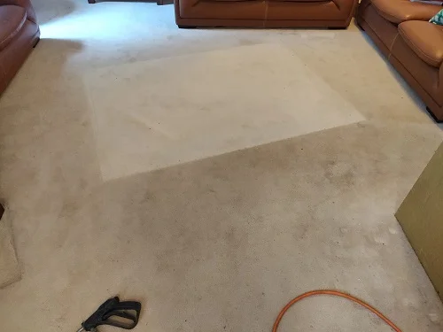 carpet-steam-cleaning-before