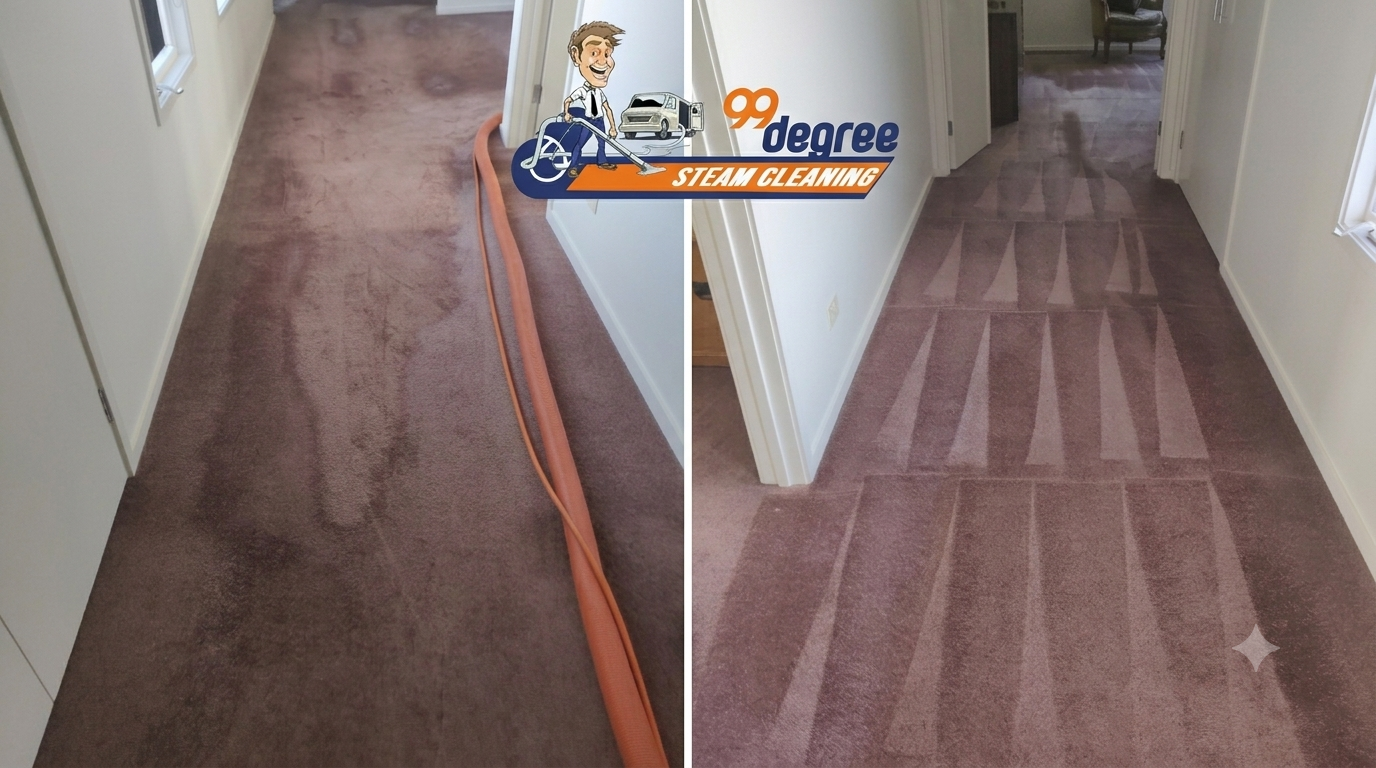 Carpet Steam Cleaning before and after