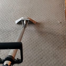 Carpet Cleaning vid